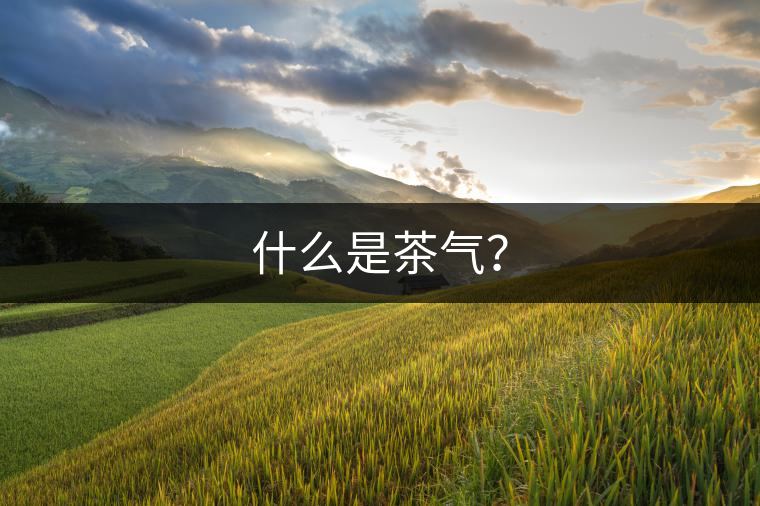 什么是茶氣？
