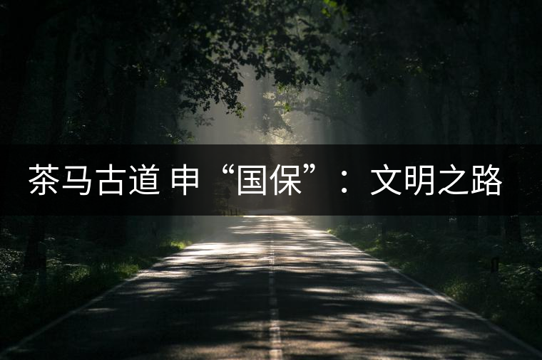 茶馬古道 申“國?！保何拿髦返脑侔l(fā)現(xiàn)