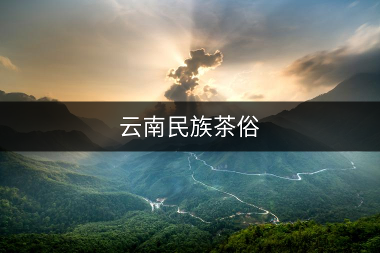云南民族茶俗
