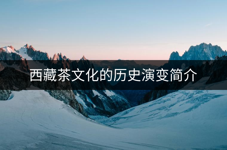 西藏茶文化的歷史演變簡(jiǎn)介 西藏茶文化的歷史演變簡(jiǎn)介