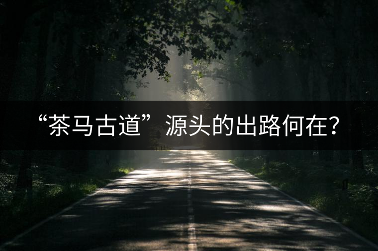 “茶馬古道”源頭的出路何在？