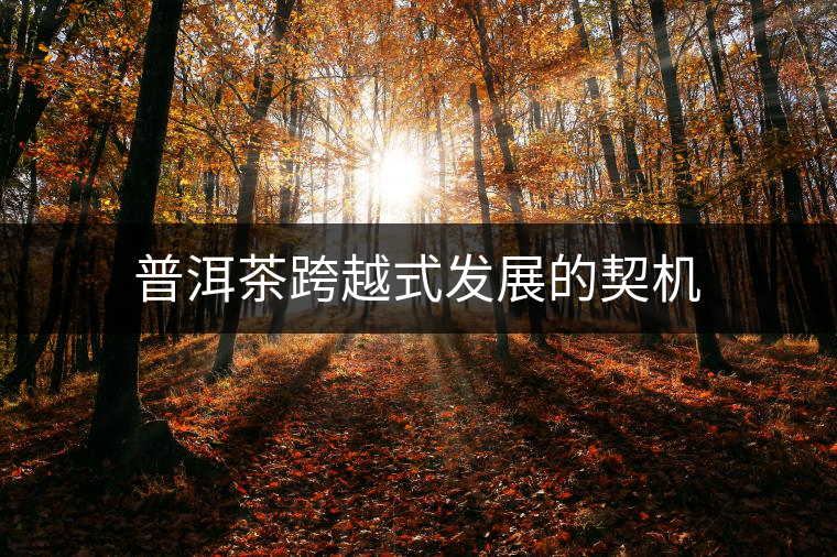 普洱茶跨越式發(fā)展的契機(jī) 普洱茶跨越式發(fā)展的契機(jī)