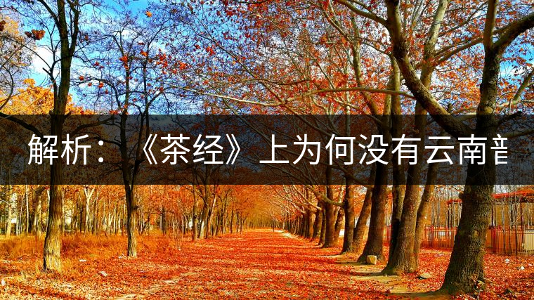 解析：《茶經(jīng)》上為何沒有云南普洱茶 ？