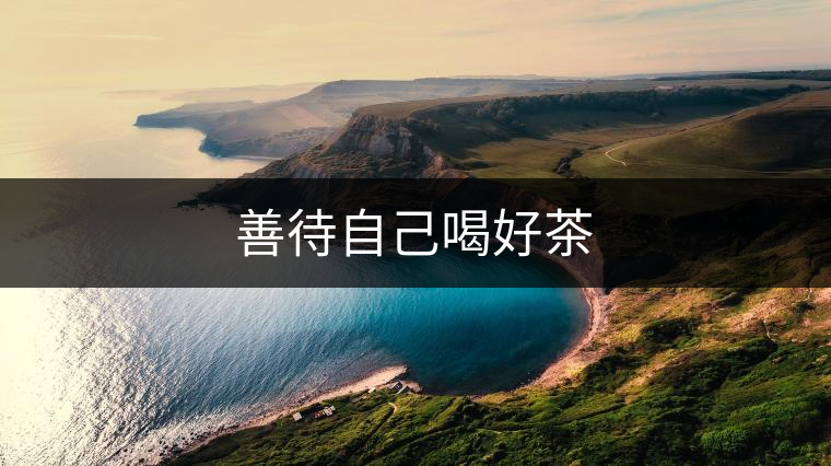 善待自己喝好茶 善待自己喝好茶