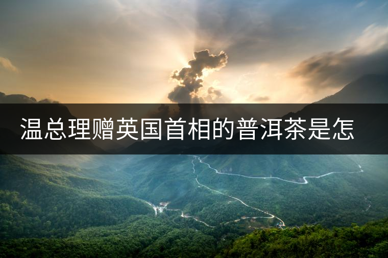 溫總理贈英國首相的普洱茶是怎么制作的？