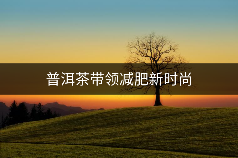 普洱茶帶領(lǐng)減肥新時(shí)尚 普洱茶帶領(lǐng)減肥新時(shí)尚