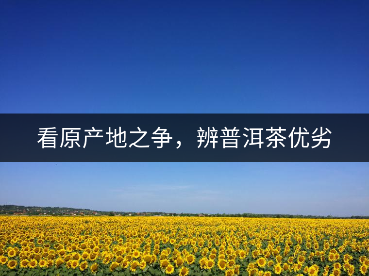看原產(chǎn)地之爭，辨普洱茶優(yōu)劣