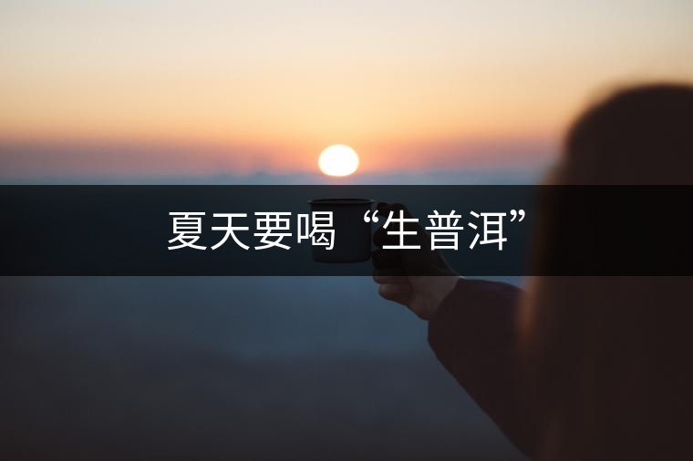 夏天要喝“生普洱” 夏天要喝“生普洱”