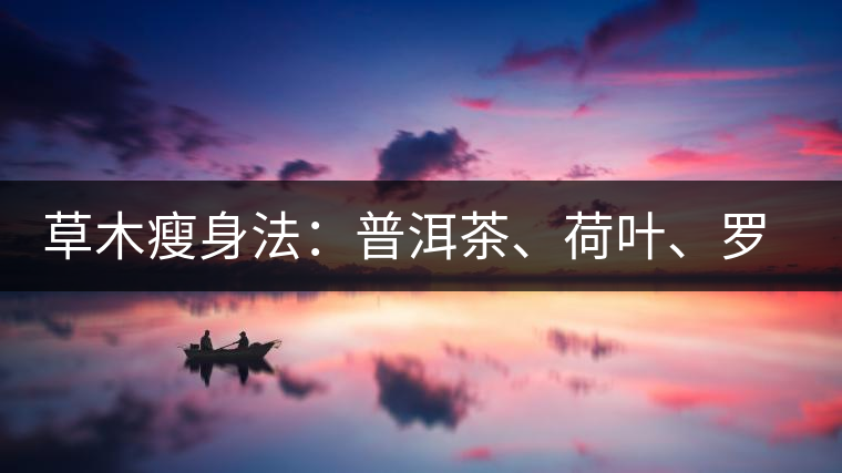 草木瘦身法：普洱茶、荷葉、羅漢果