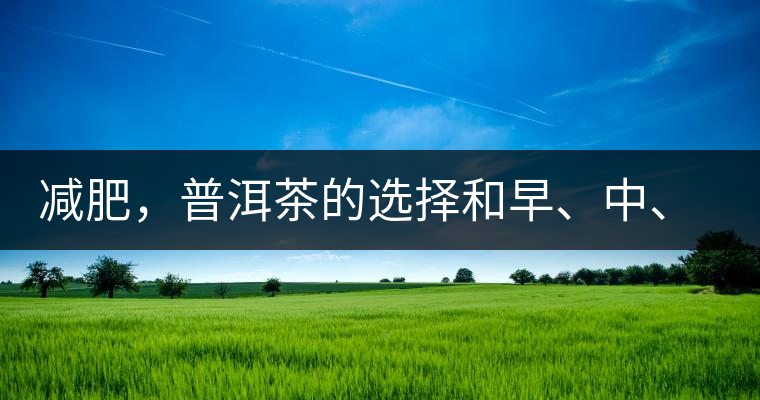 減肥，普洱茶的選擇和早、中、晚的喝法