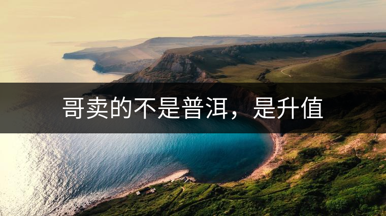 哥賣的不是普洱，是升值