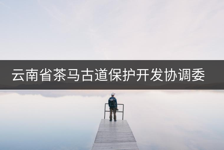 云南省茶馬古道保護(hù)開發(fā)協(xié)調(diào)委員會成立 云南省茶馬古道保護(hù)開發(fā)協(xié)調(diào)委員會成立