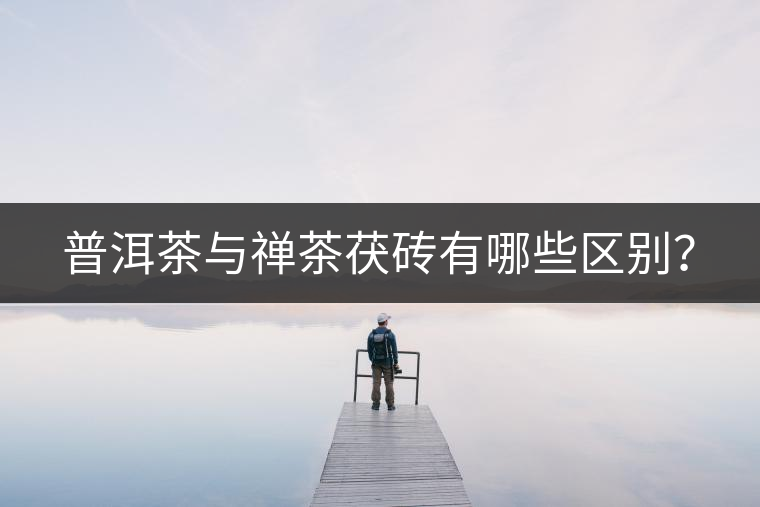 普洱茶與禪茶茯磚有哪些區(qū)別？