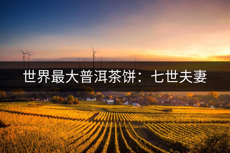 世界最大普洱茶餅:七世夫妻 世界最大普洱茶餅:七世夫妻