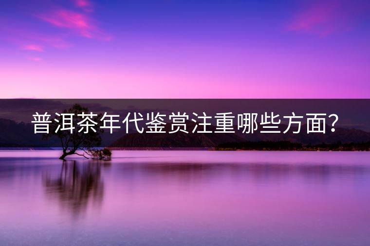 普洱茶年代鑒賞注重哪些方面？