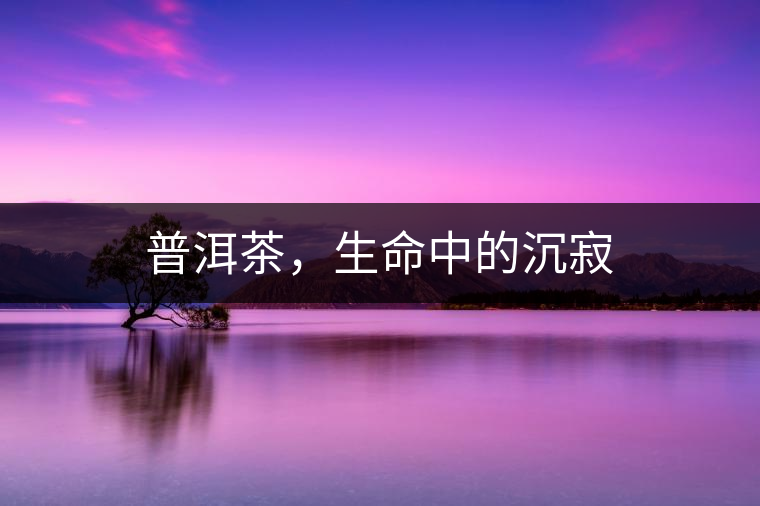 普洱茶，生命中的沉寂