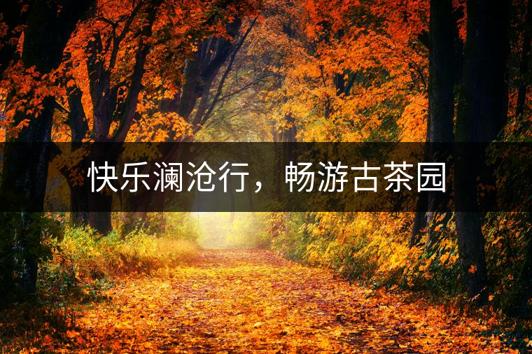 快樂瀾滄行，暢游古茶園