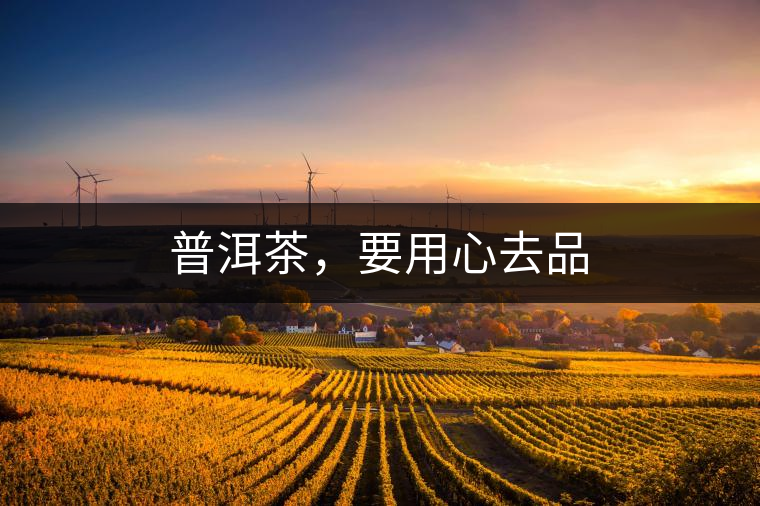 普洱茶，要用心去品