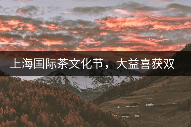 上海國(guó)際茶文化節(jié)，大益喜獲雙獎(jiǎng)