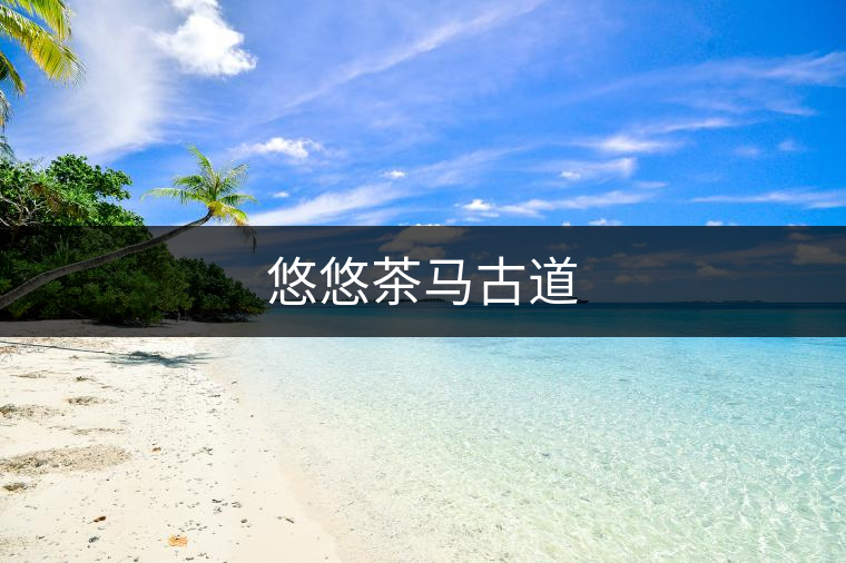 悠悠茶馬古道 悠悠茶馬古道