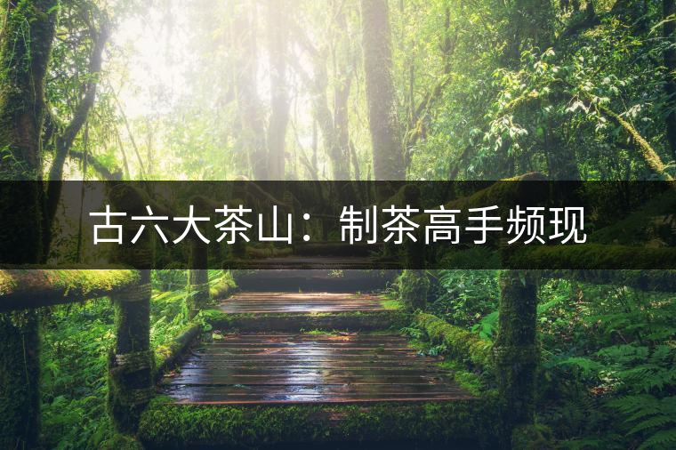 古六大茶山:制茶高手頻現(xiàn) 古六大茶山:制茶高手頻現(xiàn)