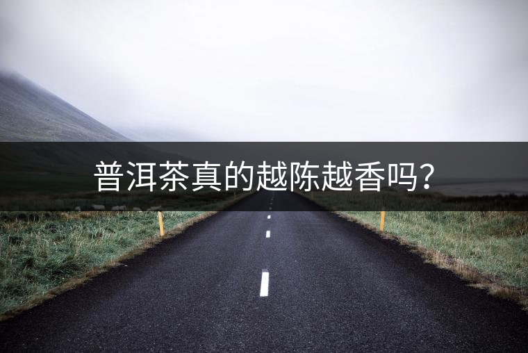 普洱茶真的越陳越香嗎？