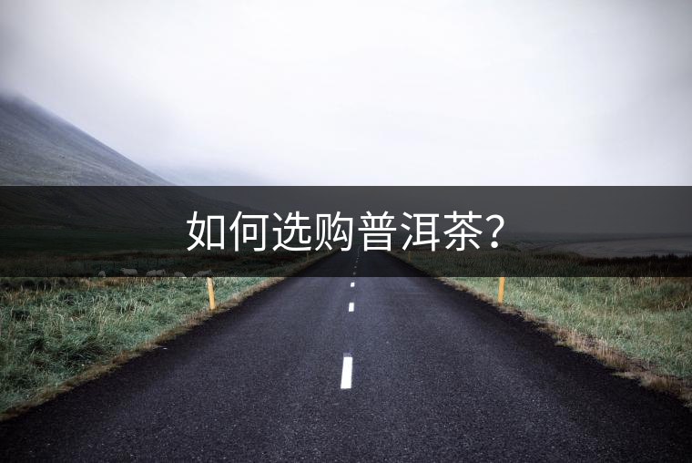 如何選購普洱茶？