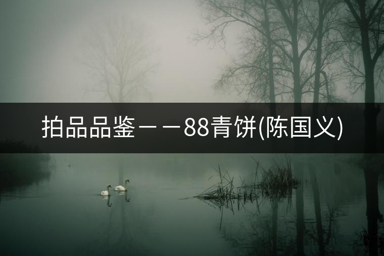 拍品品鑒--88青餅(陳國(guó)義) 拍品品鑒--88青餅(陳國(guó)義)