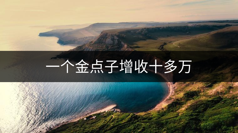 一個(gè)金點(diǎn)子增收十多萬(wàn) 一個(gè)金點(diǎn)子增收十多萬(wàn)