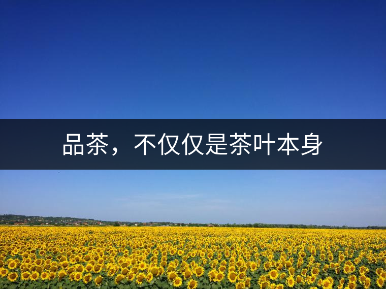品茶，不僅僅是茶葉本身