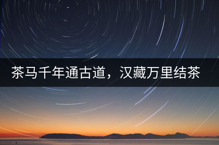 茶馬千年通古道，漢藏萬里結(jié)茶緣