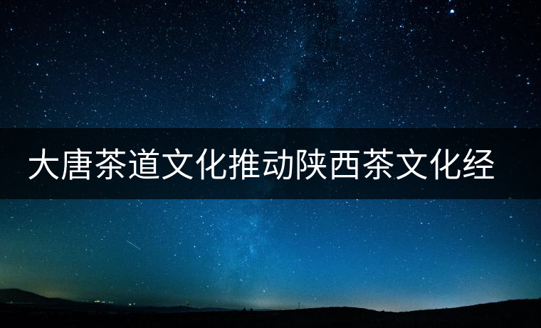 大唐茶道文化推動陜西茶文化經濟的發(fā)展