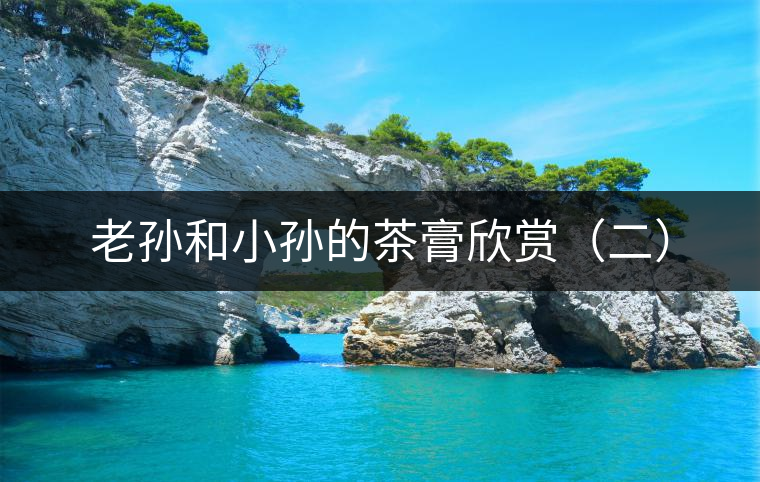 老孫和小孫的茶膏欣賞(二) 老孫和小孫的茶膏欣賞(二)