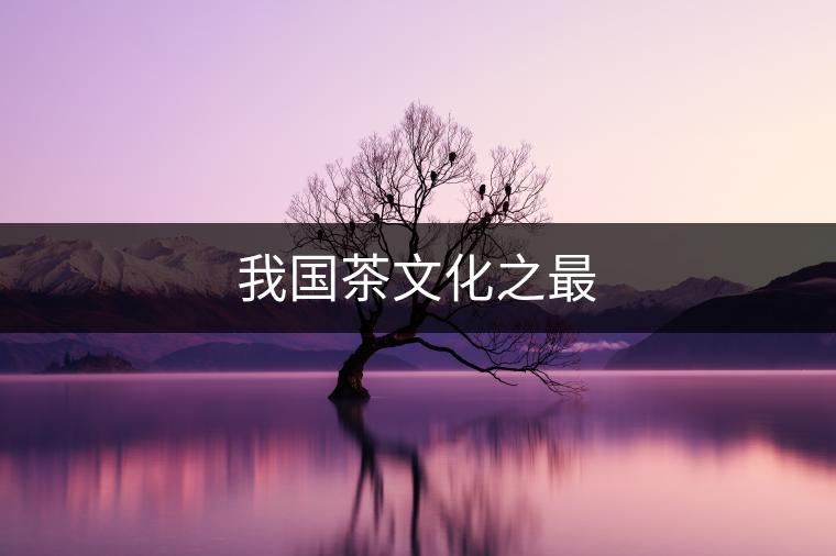 我國(guó)茶文化之最