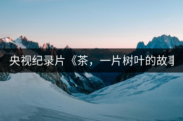 央視紀錄片《茶，一片樹葉的故事》紀錄片 昨晚開播