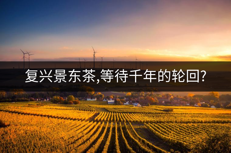 復(fù)興景東茶,等待千年的輪回?