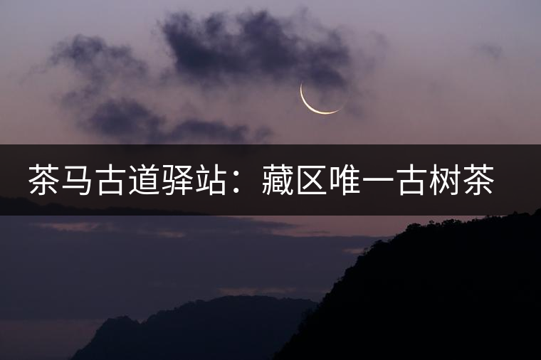 茶馬古道驛站：藏區(qū)唯一古樹茶產(chǎn)區(qū)
