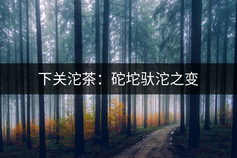 下關(guān)沱茶：砣坨馱沱之變