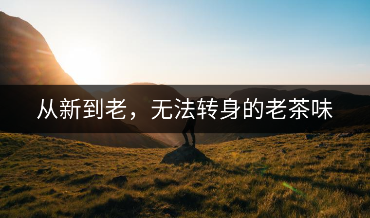 從新到老，無(wú)法轉(zhuǎn)身的老茶味