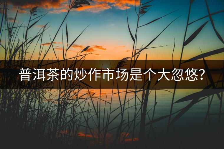 普洱茶的炒作市場是個(gè)大忽悠？