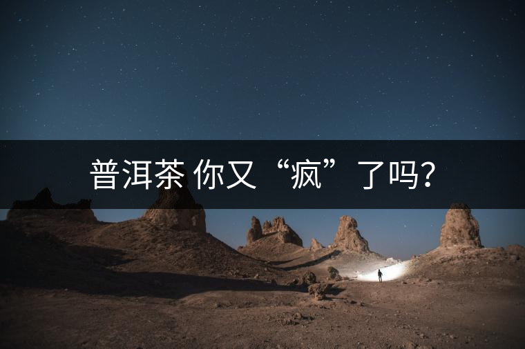 普洱茶 你又“瘋”了嗎？