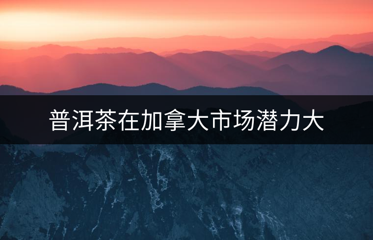 普洱茶在加拿大市場潛力大 普洱茶在加拿大市場潛力大