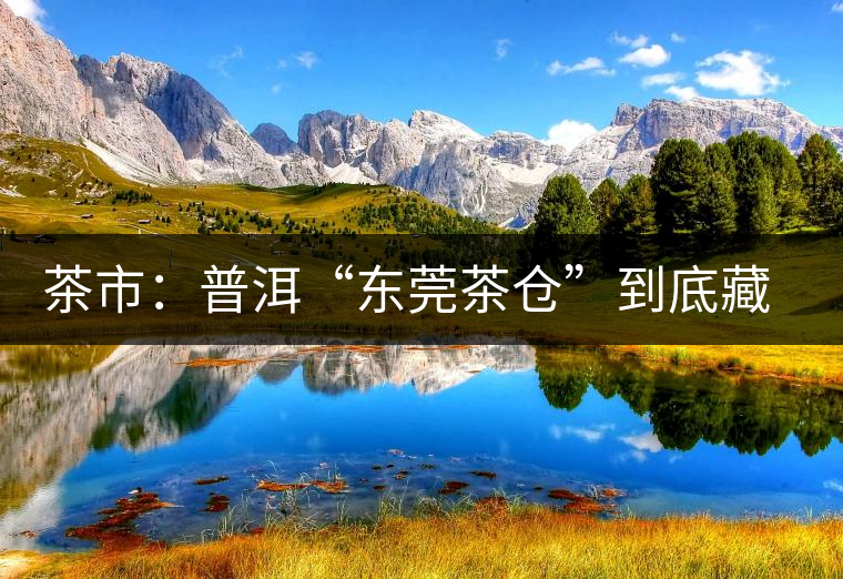 茶市：普洱“東莞茶倉”到底藏給誰喝？