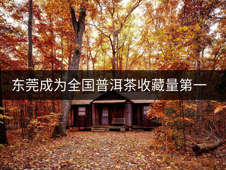 東莞成為全國普洱茶收藏量第一位的城市？