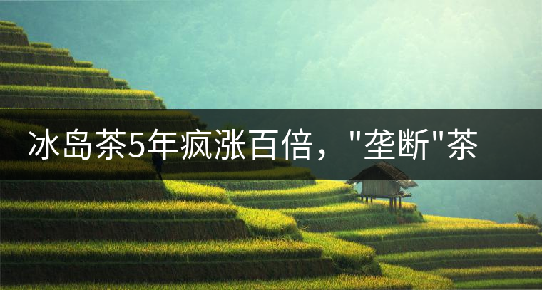 冰島茶5年瘋漲百倍，