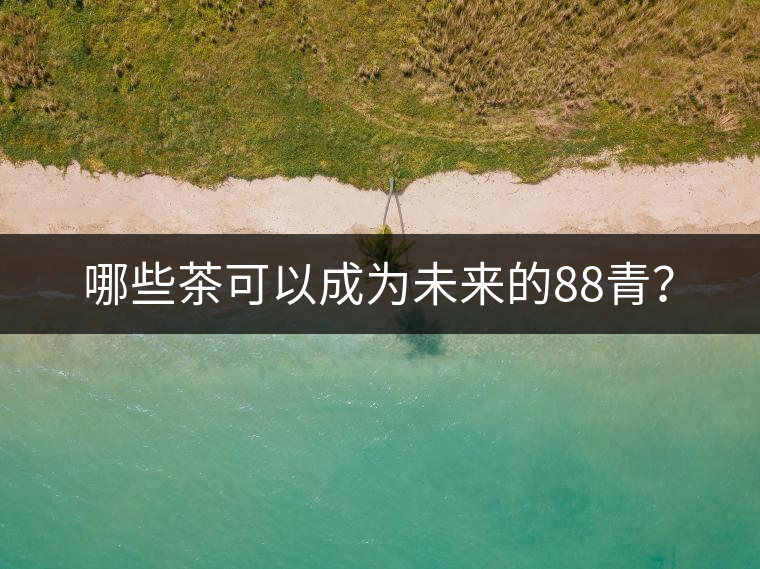 哪些茶可以成為未來的88青？