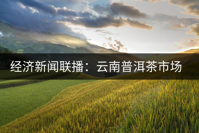 經(jīng)濟新聞聯(lián)播：云南普洱茶市場調(diào)查