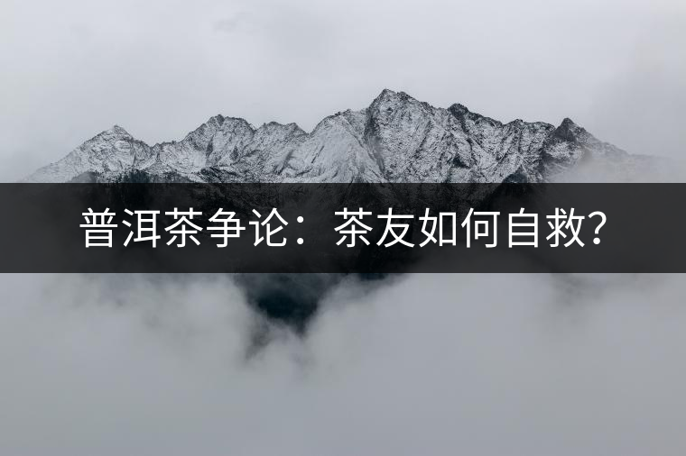 普洱茶爭論：茶友如何自救？