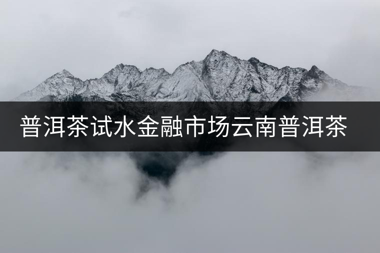 普洱茶試水金融市場(chǎng)云南普洱茶企在北京國(guó)際版權(quán)交易中心掛牌上市