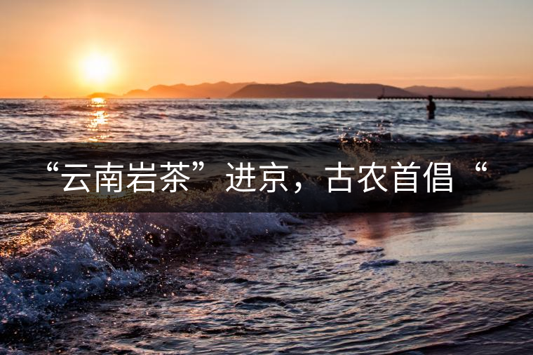 “云南巖茶”進(jìn)京，古農(nóng)首倡“名茶+名企”戰(zhàn)略